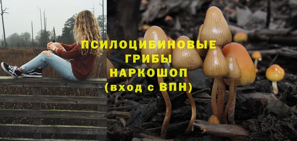 прущий лед Бугульма