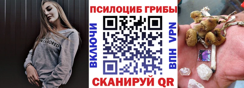 Псилоцибиновые грибы Psilocybe  mega ссылки  Афипский  закладка 